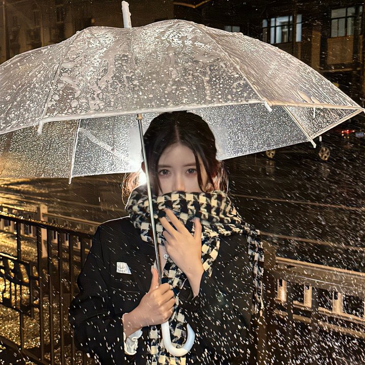 雨果的冒险