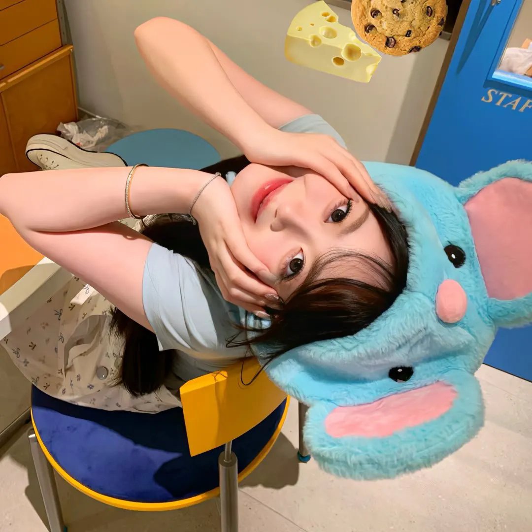 莫丽的朝圣